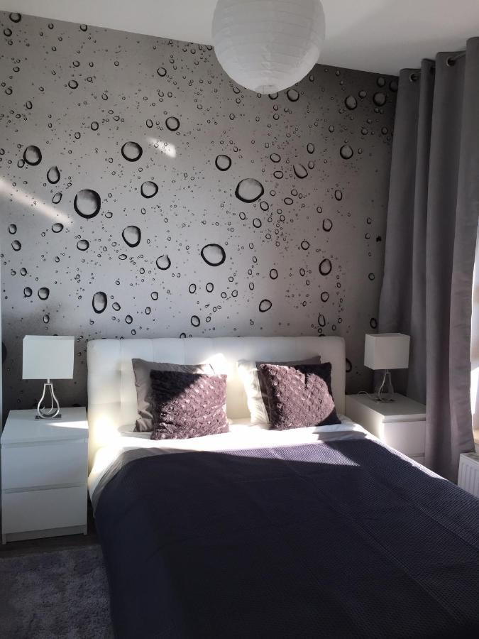 Apartament Winnica Stary Toruń المظهر الخارجي الصورة