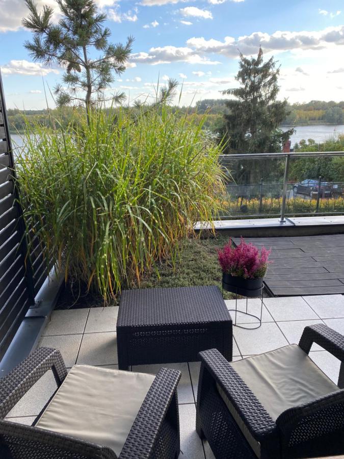 Apartament Winnica Stary Toruń المظهر الخارجي الصورة